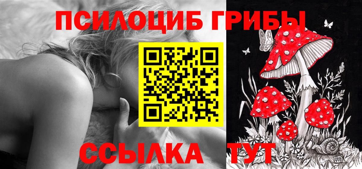 Псилоцибиновые грибы GOLDEN TEACHER  Псилоцибиновые грибы GOLDEN TEACHER  Вход с VPN  Гусиноозёрск 