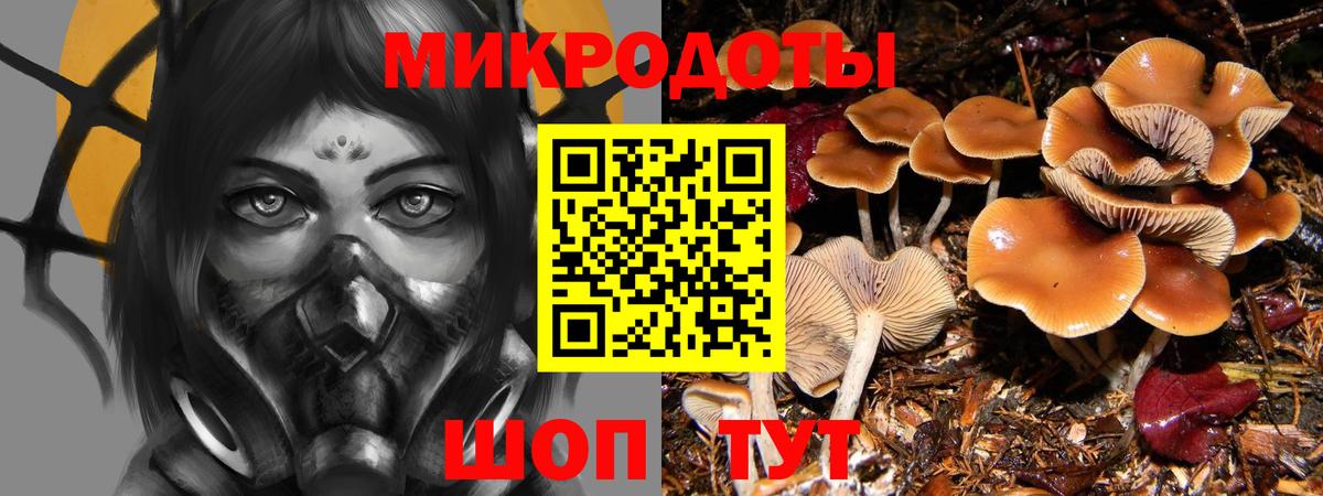 Галлюциногенные грибы Cubensis Гусиноозёрск